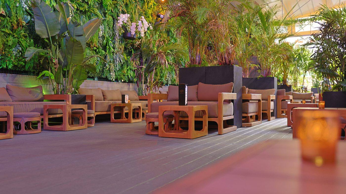 The rooftop garden at The Delancey